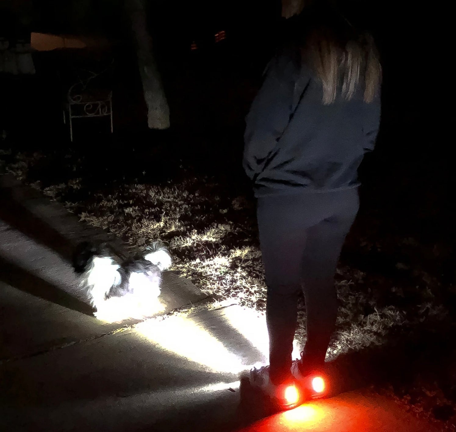High Beam Women's Night Runner Shoes - Be YOUnique